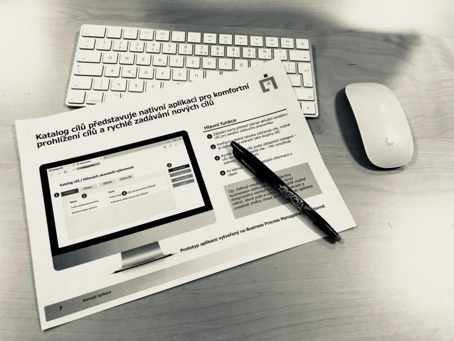 PROCESNÍ PODNIKOVÉ APLIKACE